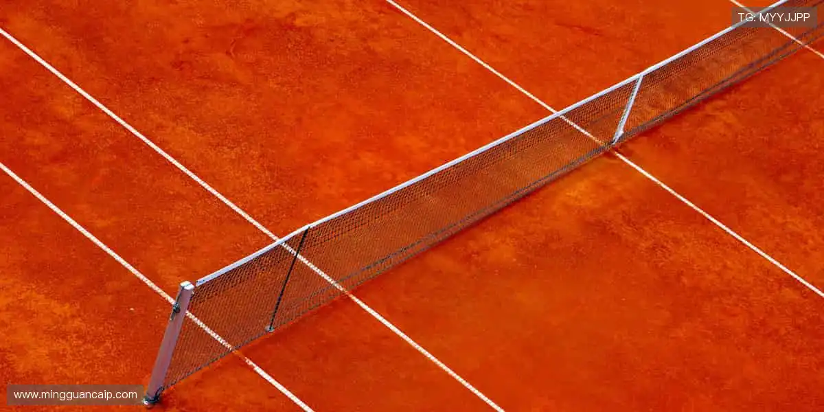 🎾专业周边,为热爱注入灵魂色彩!